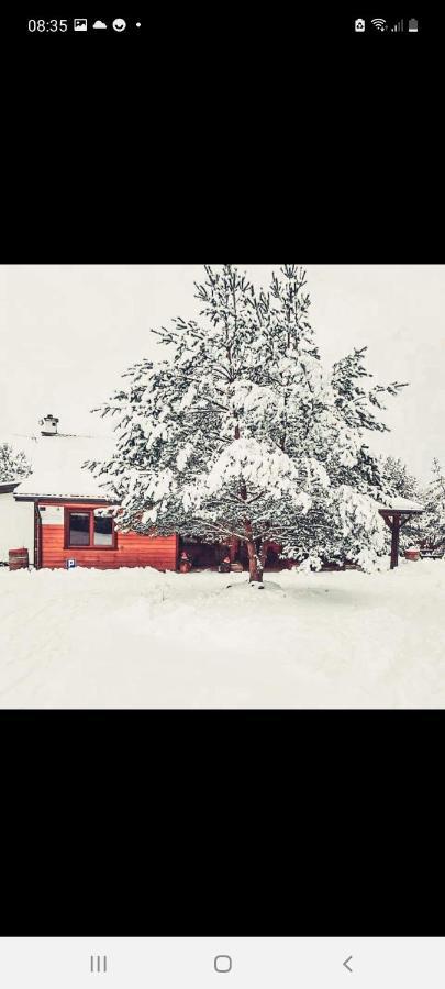 Farmstay Marianówka u Tesi Giby Exterior foto